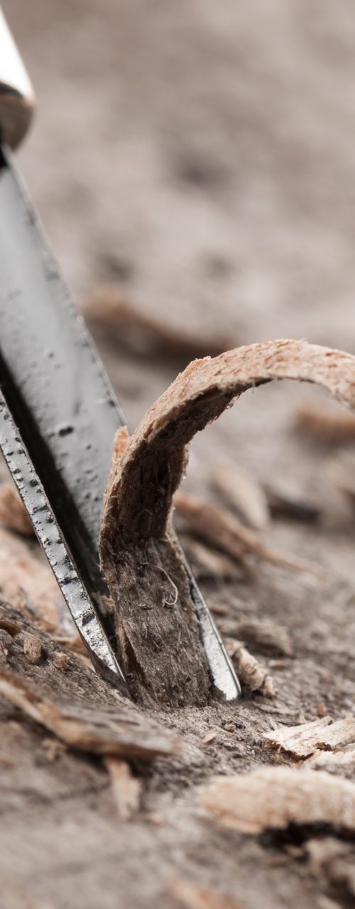 closeup chisels for wood on carpenter desktop